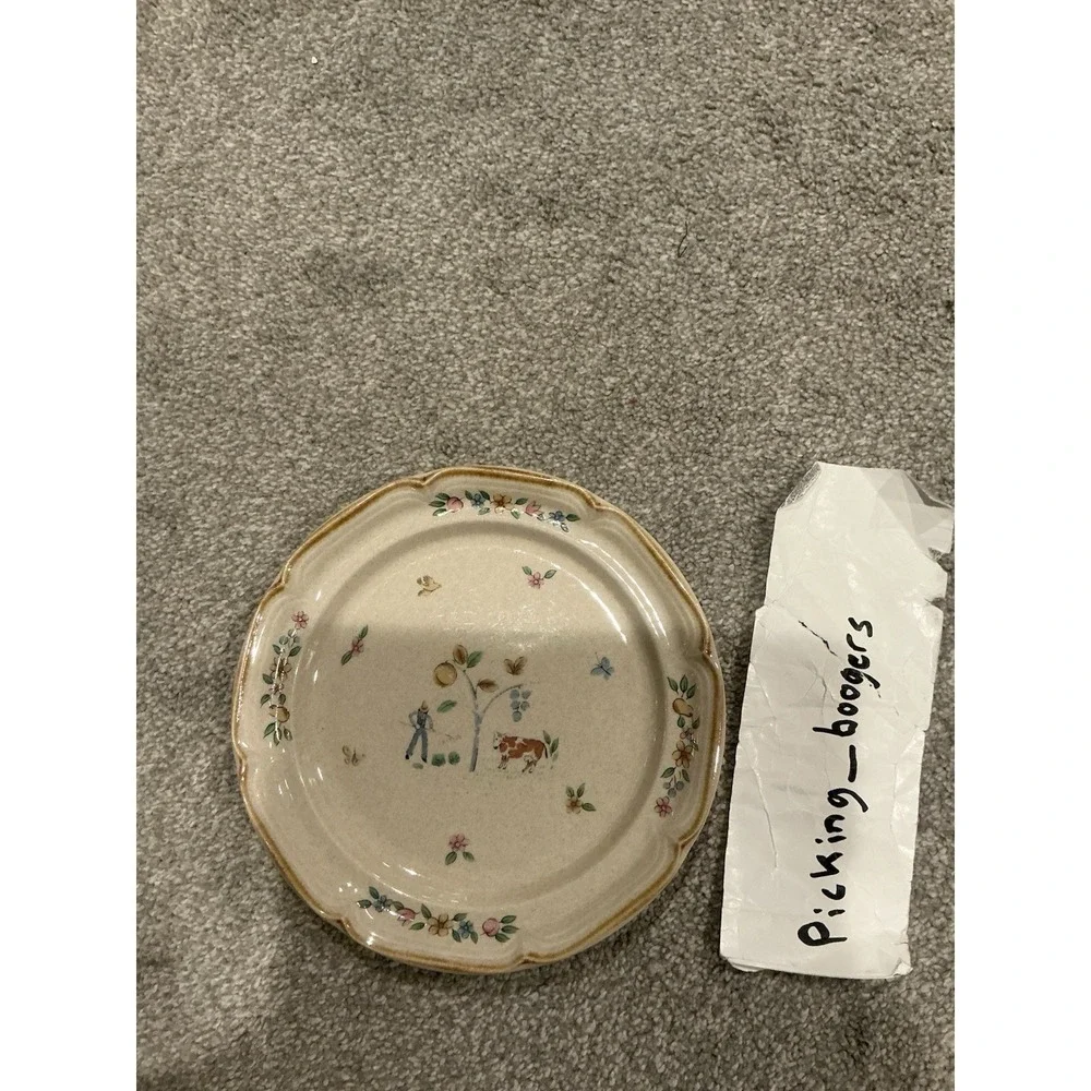 Set of 10 International Heartland Dinner Plate Farmhouse Country Stoneware Sakur